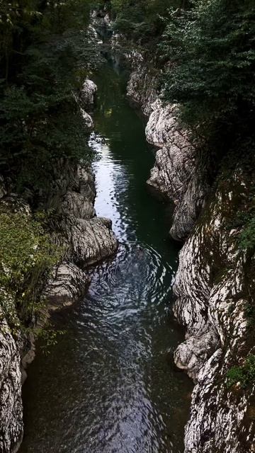 Be Part Of The Flow… Relax With The Calming Music ♀️ #yoga #meditation #relaxing смотреть онлайн