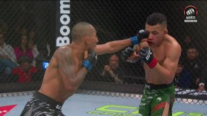 Кевин Борджас победил Роналдо Родригеза (видео). UFC Fight Night