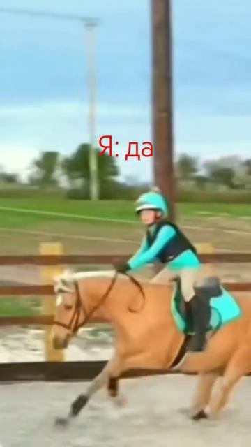 #видеомоё #пжрек #horse #верхом #конкур #падения смотреть онлайн