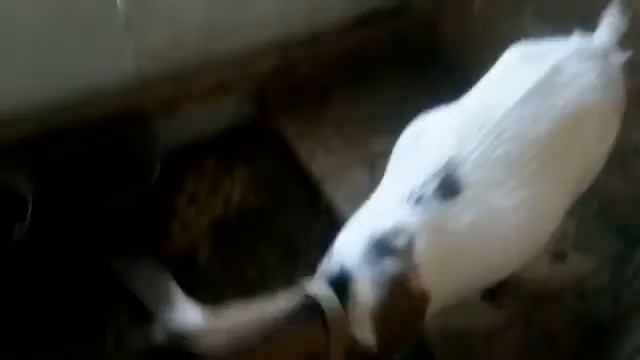 наши козочки смотреть онлайн