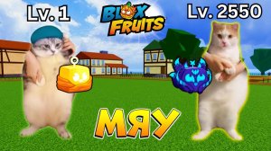 БЛОКС ФРУТС но КОТИКИ🍈🌊РОБЛОКС МЕМЫ и ПРИКОЛЫ мульт 3