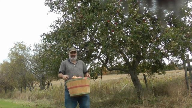 Harvesting Wolf River Apples! смотреть онлайн
