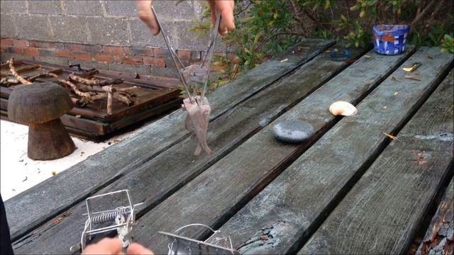 DIY Mole Trapping
