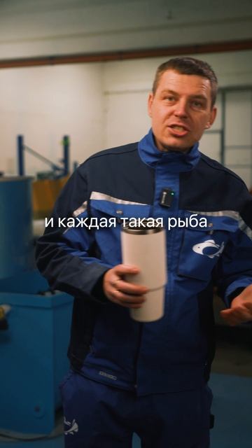 300 млн ₽ за тушу! Эта рыба стоит как 30 квартир в Сочи… #бизнес #рыба #рыбы #рыбалка #рыбак #узв смотреть онлайн