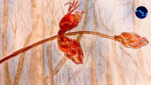 Весна в лесу / Стих / Сергей Антонович Клычков