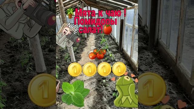1 СЕРИЯ! НОВИНКА! МАГИЯ ПРОДУКТОВ! КАК ОНИ ВЛИЯЮТ НА НАШУ ЖИЗНЬ И УПРАВЛЯЮТ НАМИ! смотреть онлайн