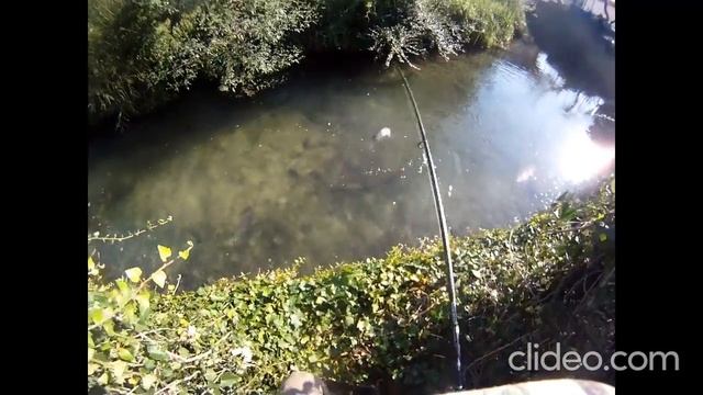 "Foss" fishing dalle mie "bande" pt. 2 смотреть онлайн