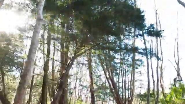 A1 jumps main line rear facing camera compilation edit смотреть онлайн