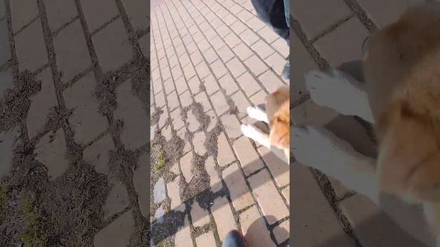делаем добрые дела смотреть онлайн