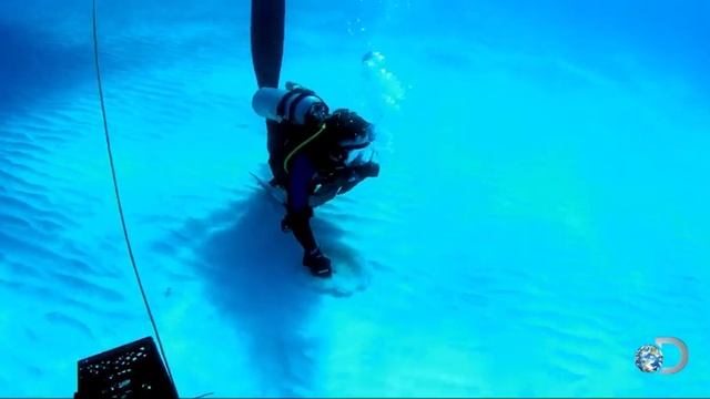 Sharks Among Us. The stingray test. смотреть онлайн