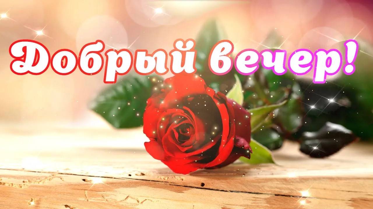 🌷🌷ДОБРЫЙ ВЕЧЕР Пожелания ДОБРОГО ВЕЧЕРА Красивое пожелание С ДОБРЫМ ВЕЧЕРОМ! ДЛЯ ТЕБЯ ПОДАРОК 💝 смотреть онлайн