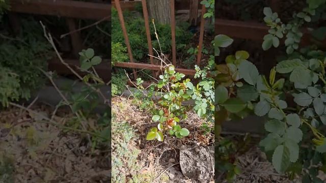 Анапа смотреть онлайн