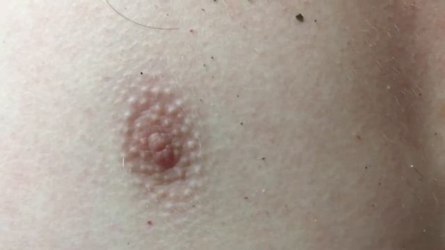 Лимончела в мозг вдарила