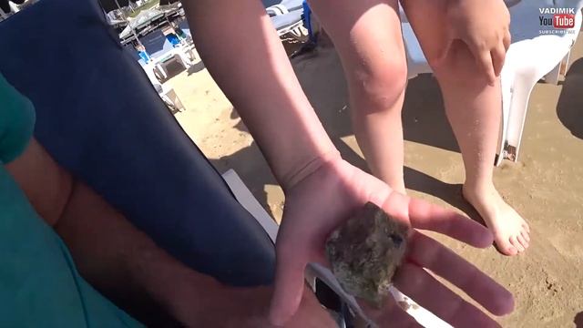 Нашёл в море древний артефакт / застывшие червячки