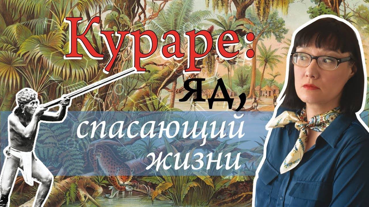 Путь охотничьего яда из джунглей в медицину