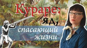 Путь охотничьего яда из джунглей в медицину