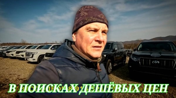 #vitaminauto В ПОИСКАХ ДЕШЁВЫХ ЦЕН
