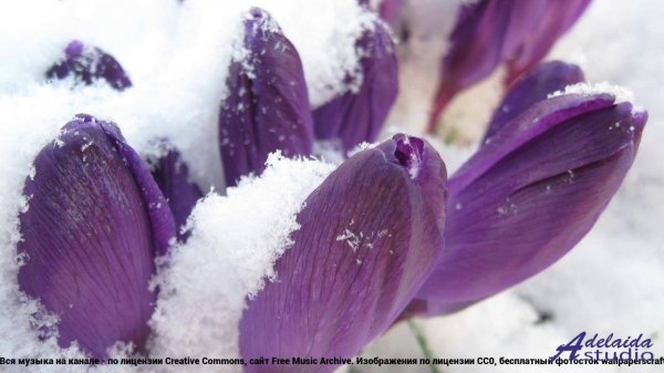 ❤ ❤ ❤ Гениальная музыка для наслаждения  Unforgettable Adventure -- butterflystudio -- Off Limits.mp