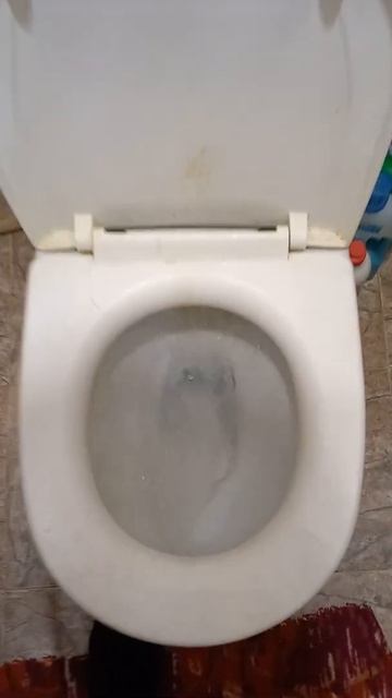 Смыв унитаза Santek Римини смотреть онлайн