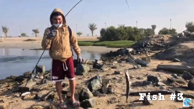 5 HUGE BARRACUDA FISH | UAE смотреть онлайн