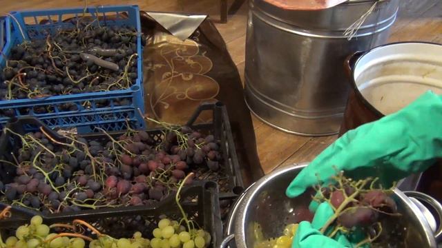 ч 2 ДЕЛАЕМ ВИНО ДОМА. ДРОБЛЕНИЕ винограда для КАЧЕСТВА смотреть онлайн