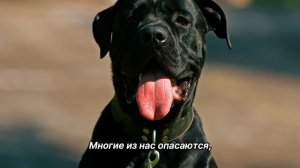 "Забота о себе". 8 апреля. Мелоди Битти. Ежедневник для созависимых