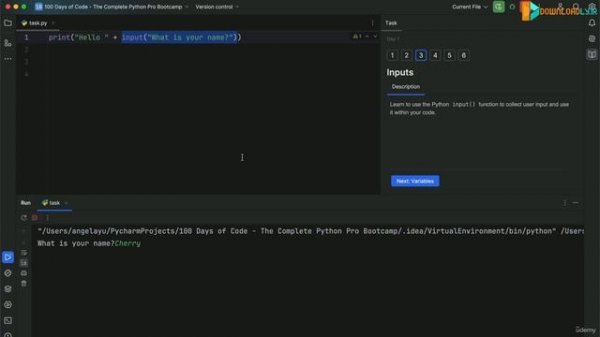 10. The Python Input Function