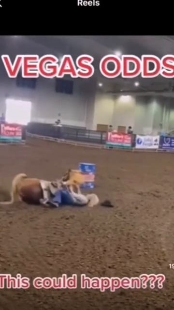 опасный вид спорта смотреть онлайн