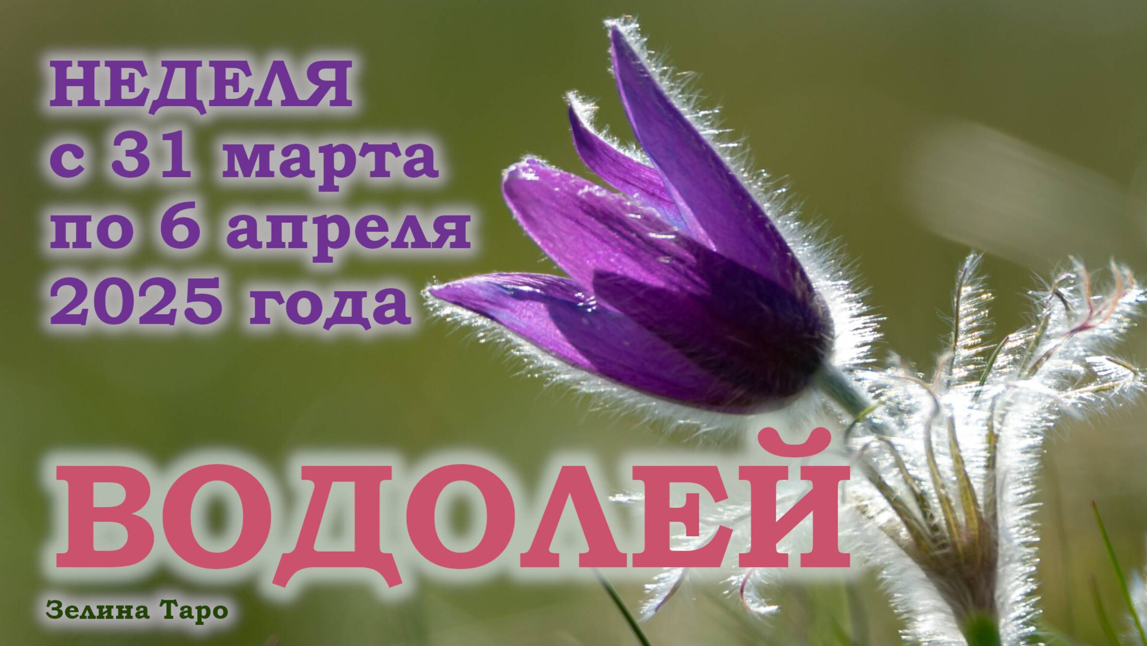 ВОДОЛЕЙ | ТАРО прогноз на неделю с 31 марта по 6 апреля 2025 года