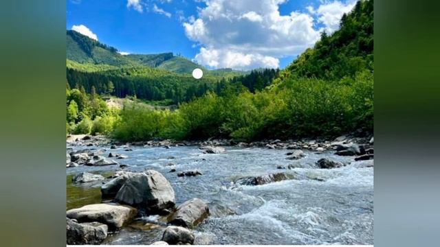 Закарпаття яка наступна область)? смотреть онлайн