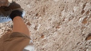 Мерсин заповедник 2023г