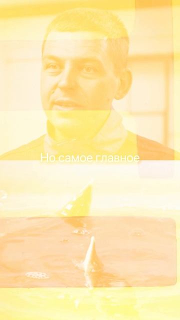 Это лучшая рыба для заработка без геморроя! #бизнес #бизнесидеи #заработок #рыбы #бизнесснуля смотреть онлайн