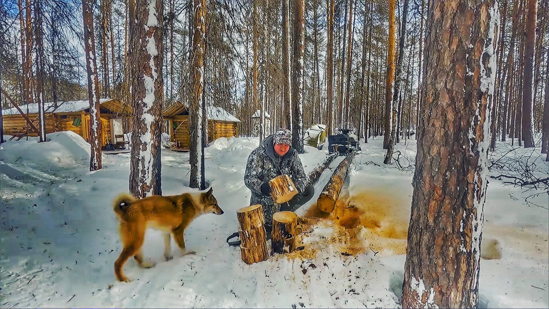 УКРЫЛСЯ ОТ СИЛЬНОГО ВЕТРА В ТАЁЖНОЙ ИЗБЕ. ЖАРЮ ПЕЛЬМЕНИ НА ОТКРЫТОМ ОГНЕ. ЗАГОТОВКА ДРОВ НА ИЗБЕ. смотреть онлайн