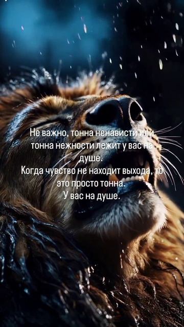 Правда смотреть онлайн