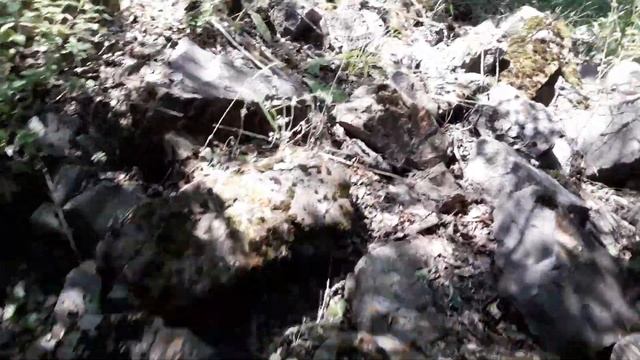 5 июля 2021 г. смотреть онлайн