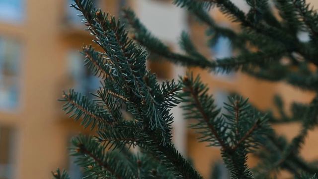 Осень 2016 в жилом комплексе "Сонцтаун" смотреть онлайн