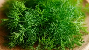 ЛЕЧЕНИЕ ТУГОУХОСТИ: ЛУЧШИЕ МЕТОДЫ