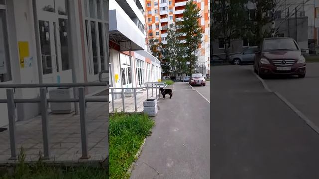 МФЦ ЛЕНСОВЕТОВСКИЙ СПБ 07.2023г смотреть онлайн