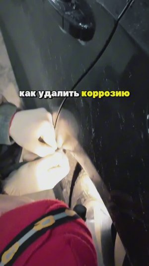 Удаляем жук за 5 минут