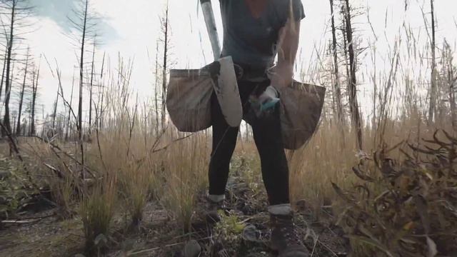 Planting Trees in Canada: ONE MILLION trees planted | One Tree Planted смотреть онлайн