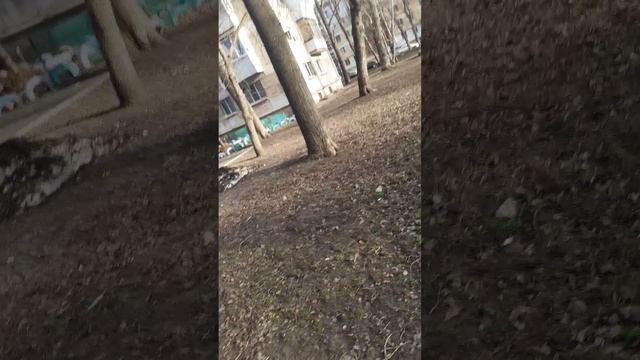20250327_170624 смотреть онлайн