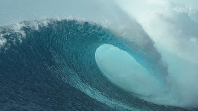 Ты – ум но не человек смотреть онлайн