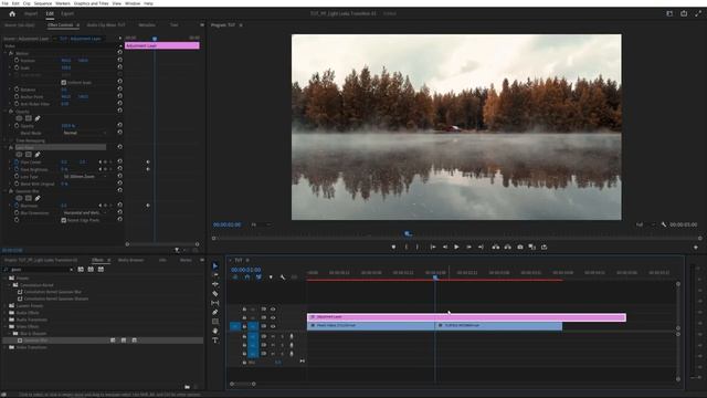 Light Leaks Transition Tutorial in Premiere Pro | Without Overlays смотреть онлайн