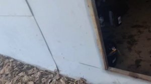 Хонда Аккорд 2.4 255 тыс км МСК промываем мотор переходим на крепкое масло Модерн 5w30 SP