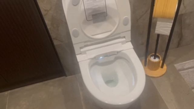 Обзор от клиента Brunnen Wal BW-2401 Auto open/close смотреть онлайн