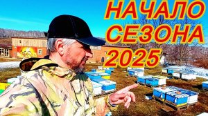 Большой отход пчёл в зимовке 2024-25