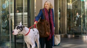 Верный друг — Русский трейлер (фильм 2024) / The Friend