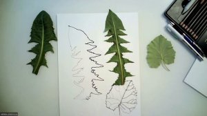 Рисуем двумя руками (упражнение)