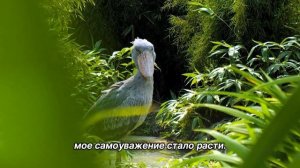 «Самоанализ». 28 апреля. Сегодня-лучший путь. Ежедневник для созависимых.