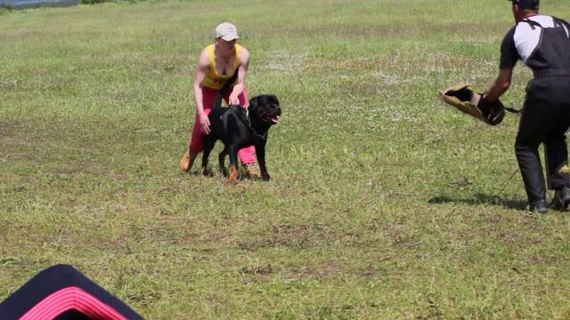 MVI 1847 смотреть онлайн